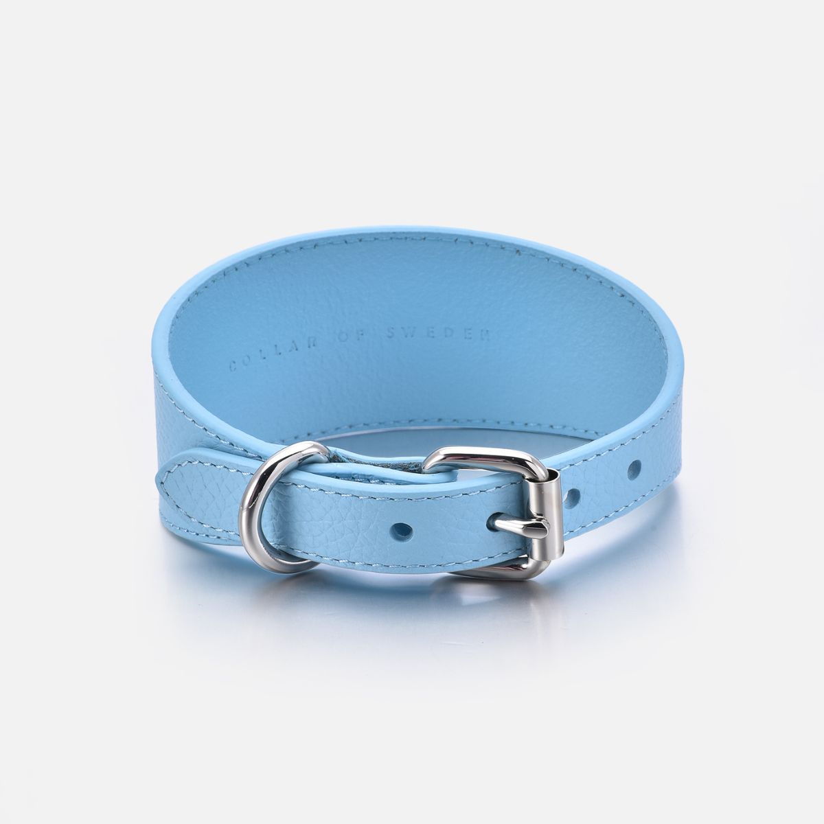 baby-blue-dog-collar-medium-wide-buckle.jpg
