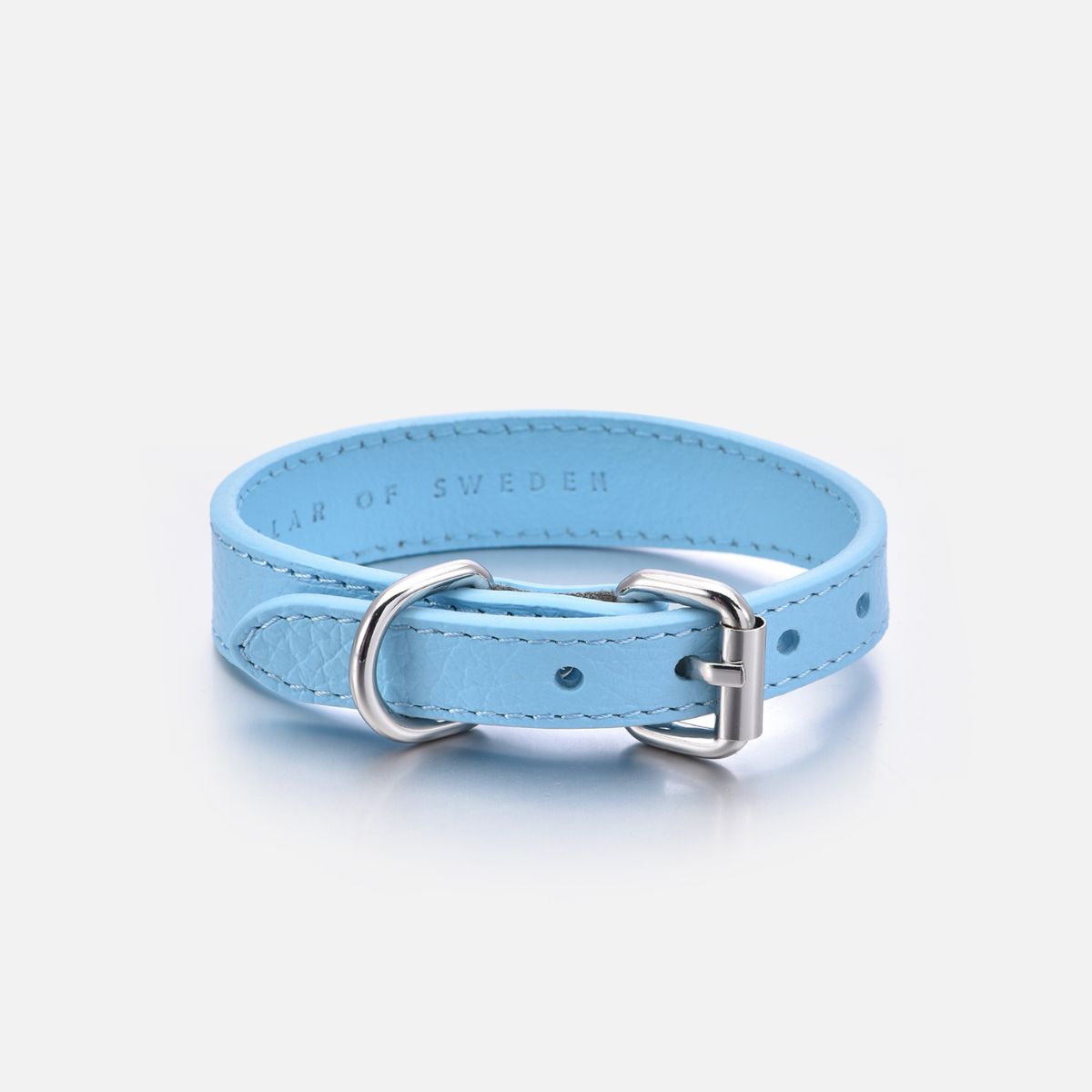 baby-blue-dog-collar-xs-thin-buckle.jpg