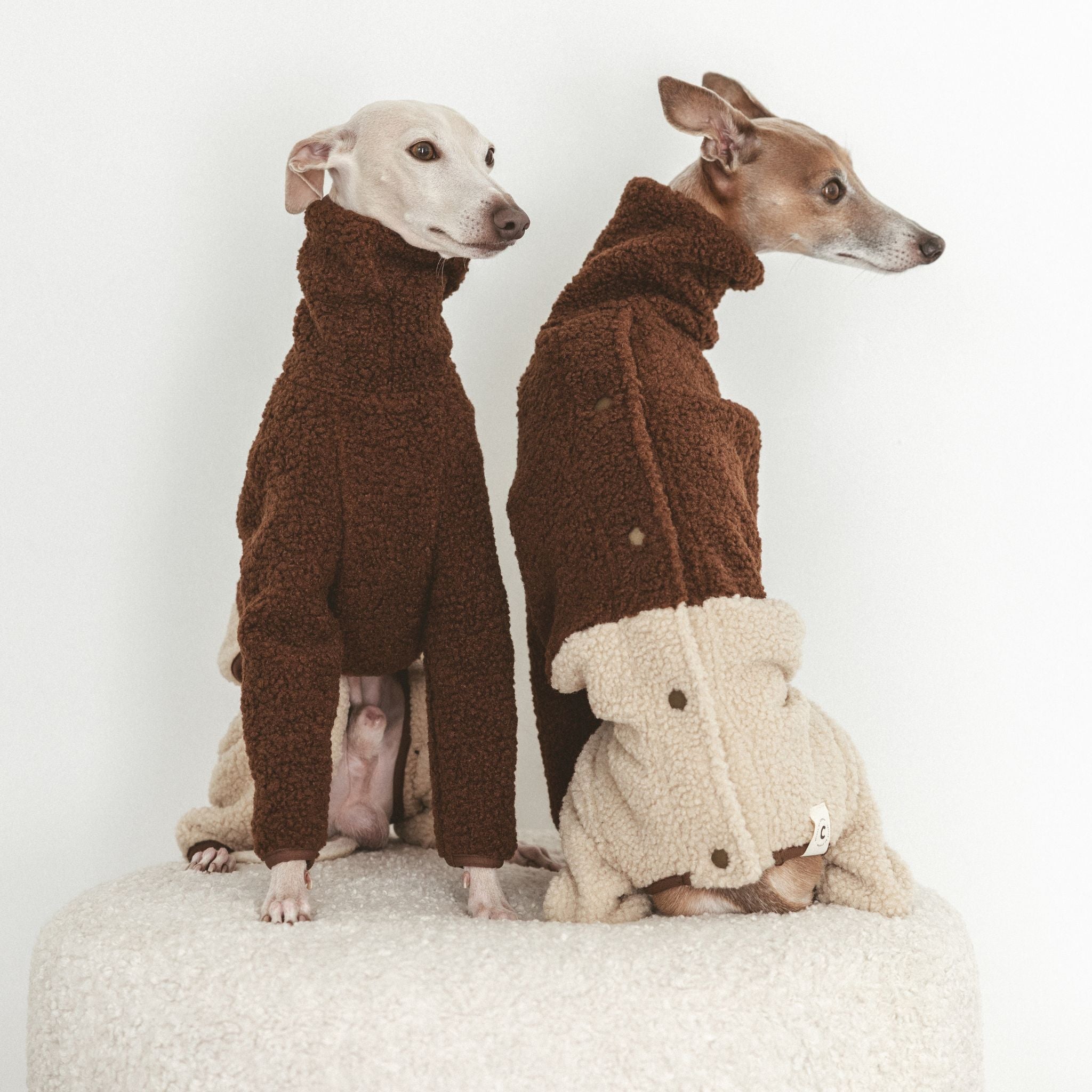 beige-brown-teddy-jumpsuit-italian-greyhounds-front-back.jpg