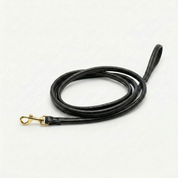 Black Dog Lead Gold