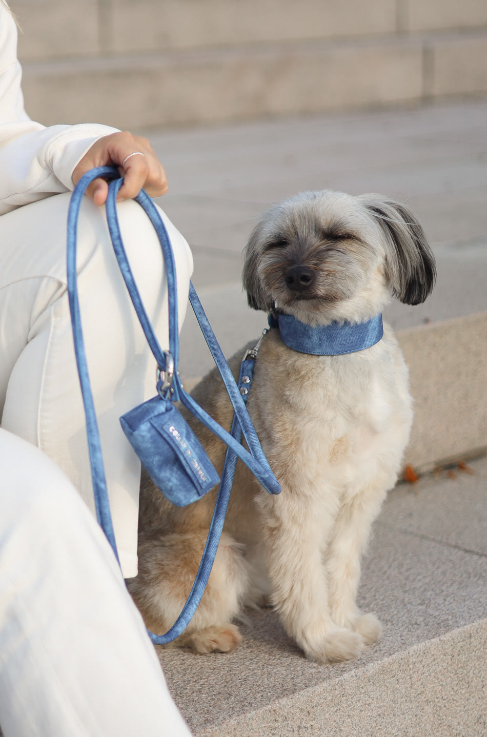 Blue Denim Dog Lead
