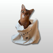 Standard Tote Bag - Cats & Wine Make Everything Fine