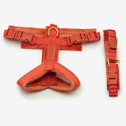 Cognac Y-Harness