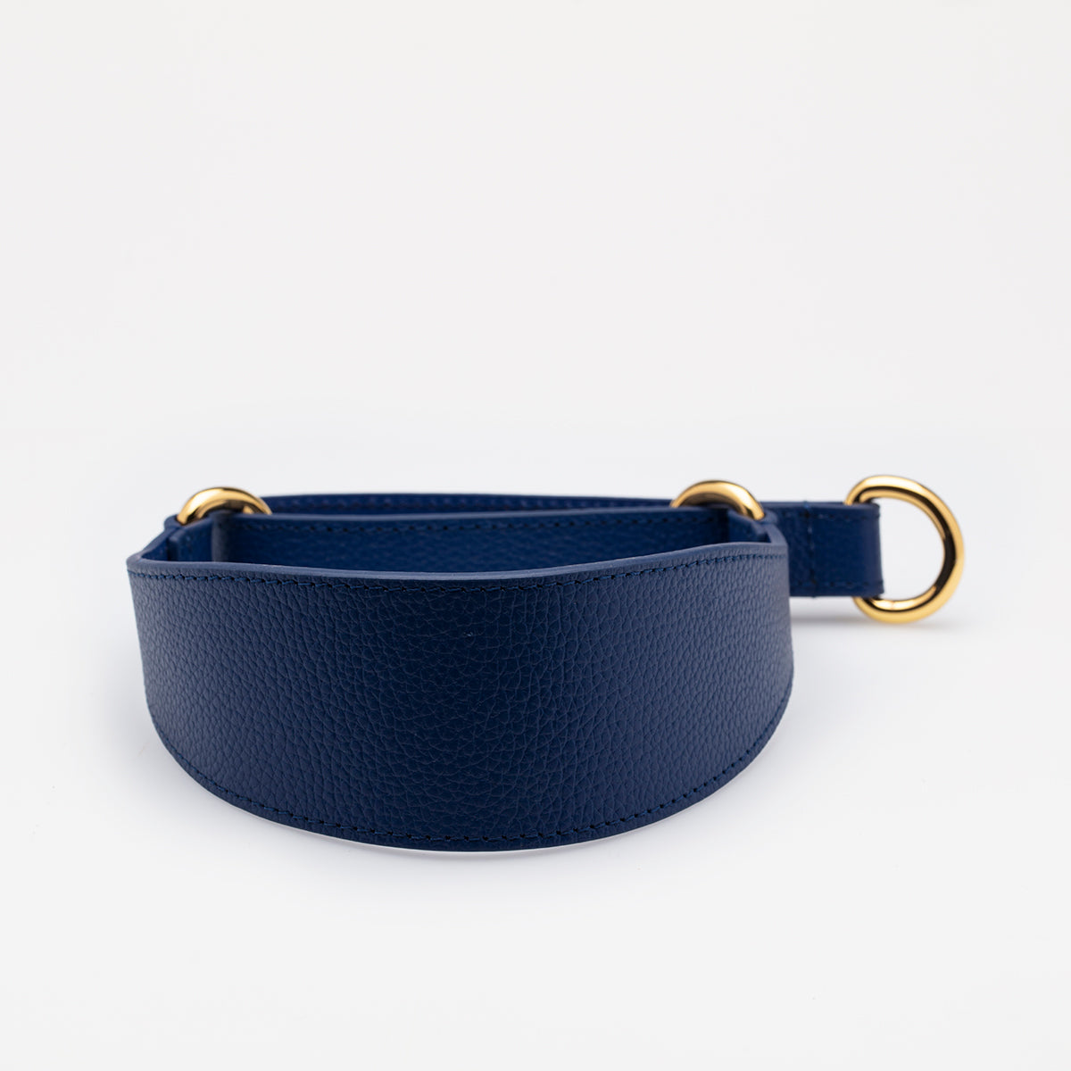 dark-blue-martingale-collar-medium-wide.jpg