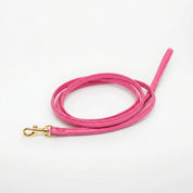 Hot Pink Dog Lead