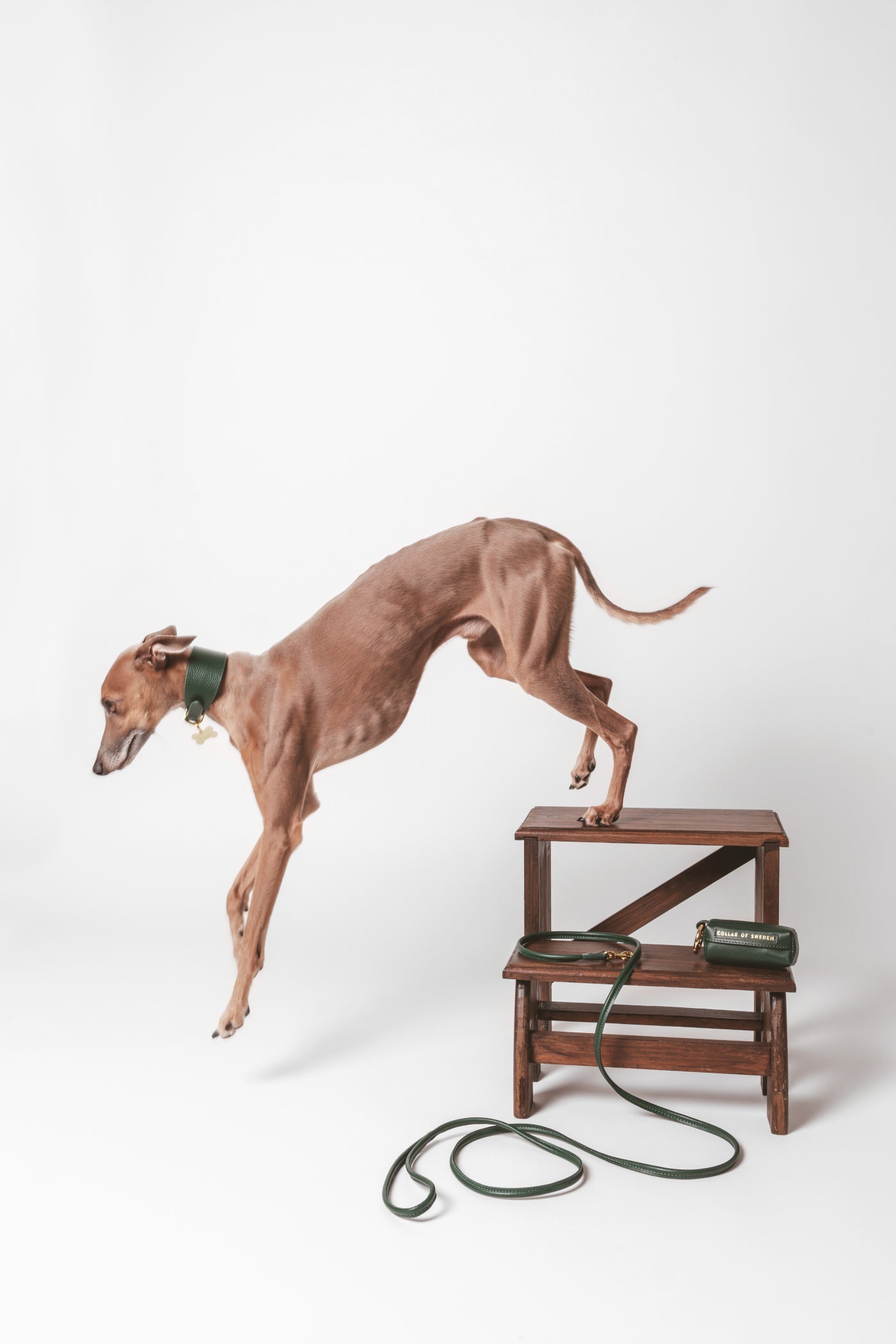 Dark Green Poop Bag Holder