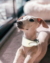 Reflective Silver Dog Collar Wide