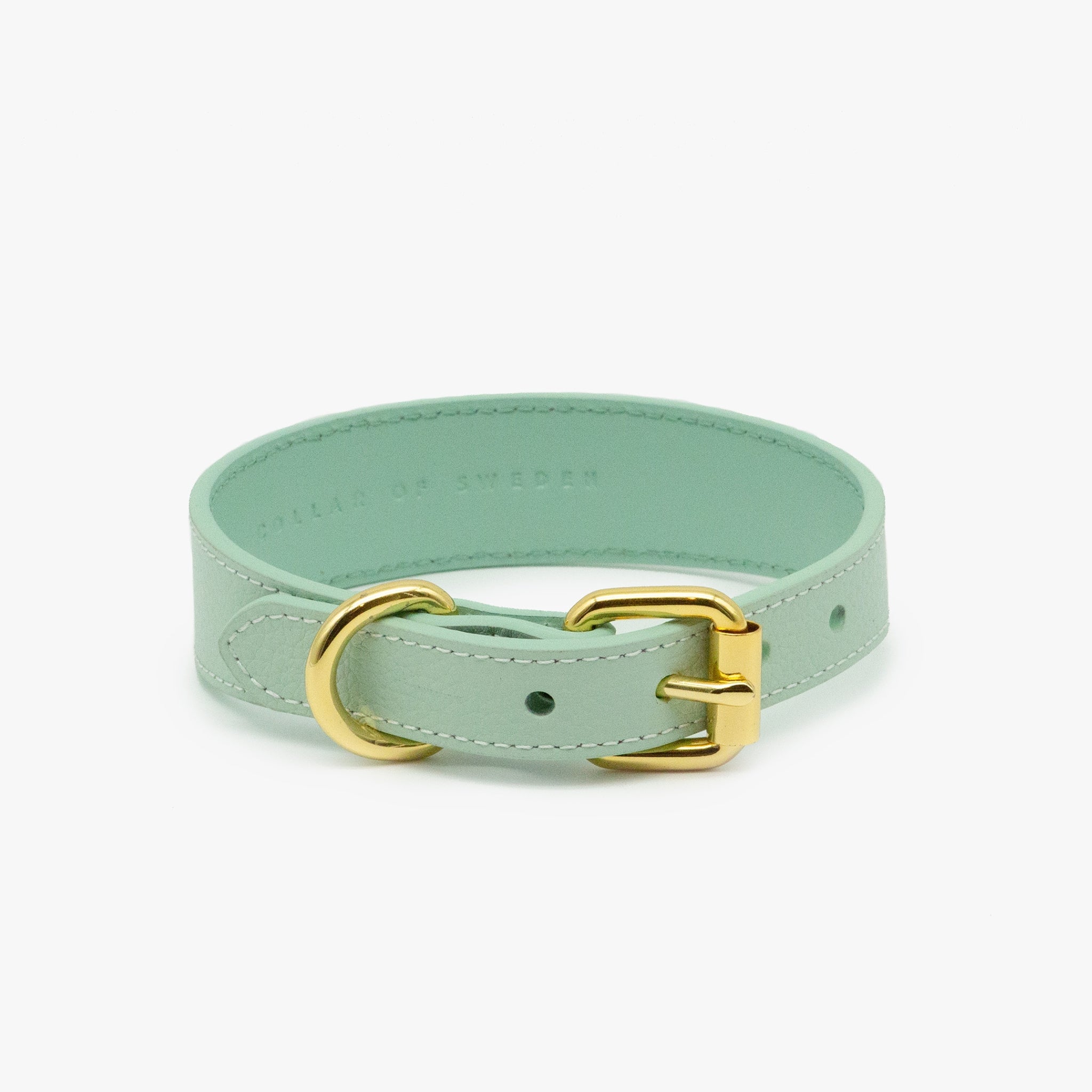 mint-dog-collar-thin-back.jpg