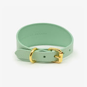 Mint Dog Collar Wide