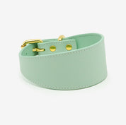 Mint Dog Collar Wide