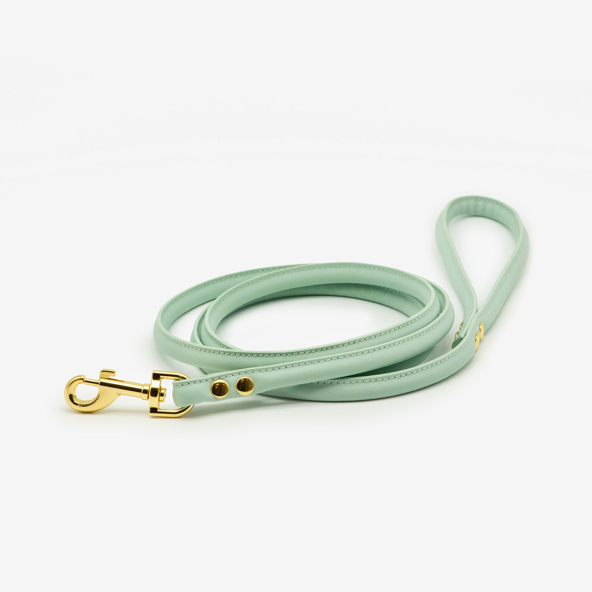 mint-leather-lead-medium.jpg