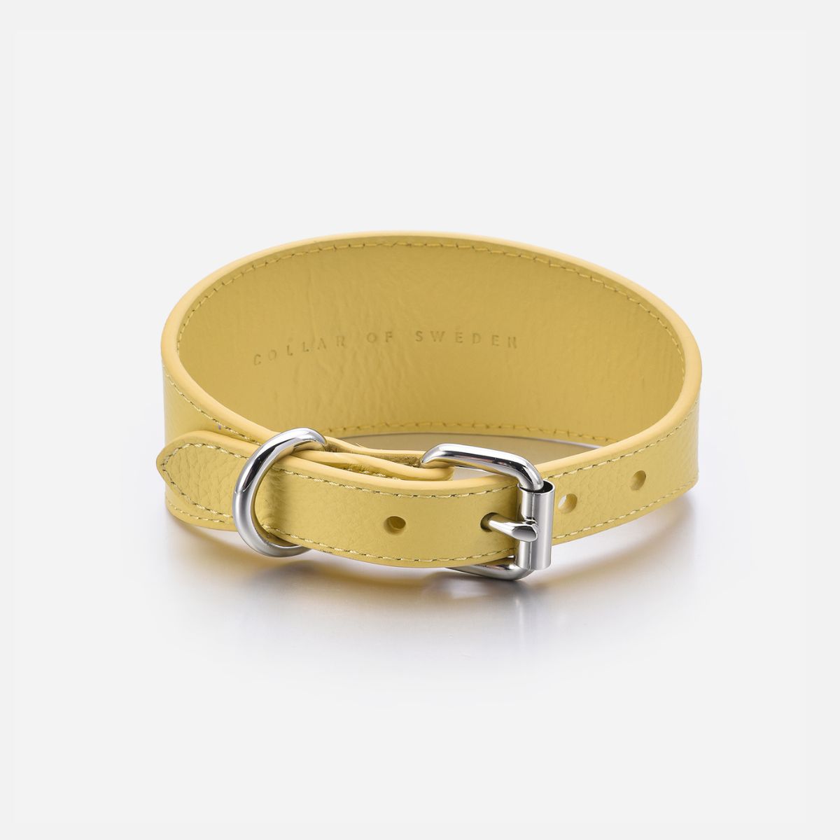 pastel-yellow-dog-collar-medium-wide-buckle.jpg