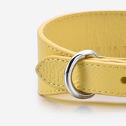 Pastel Yellow Dog Collar Wide