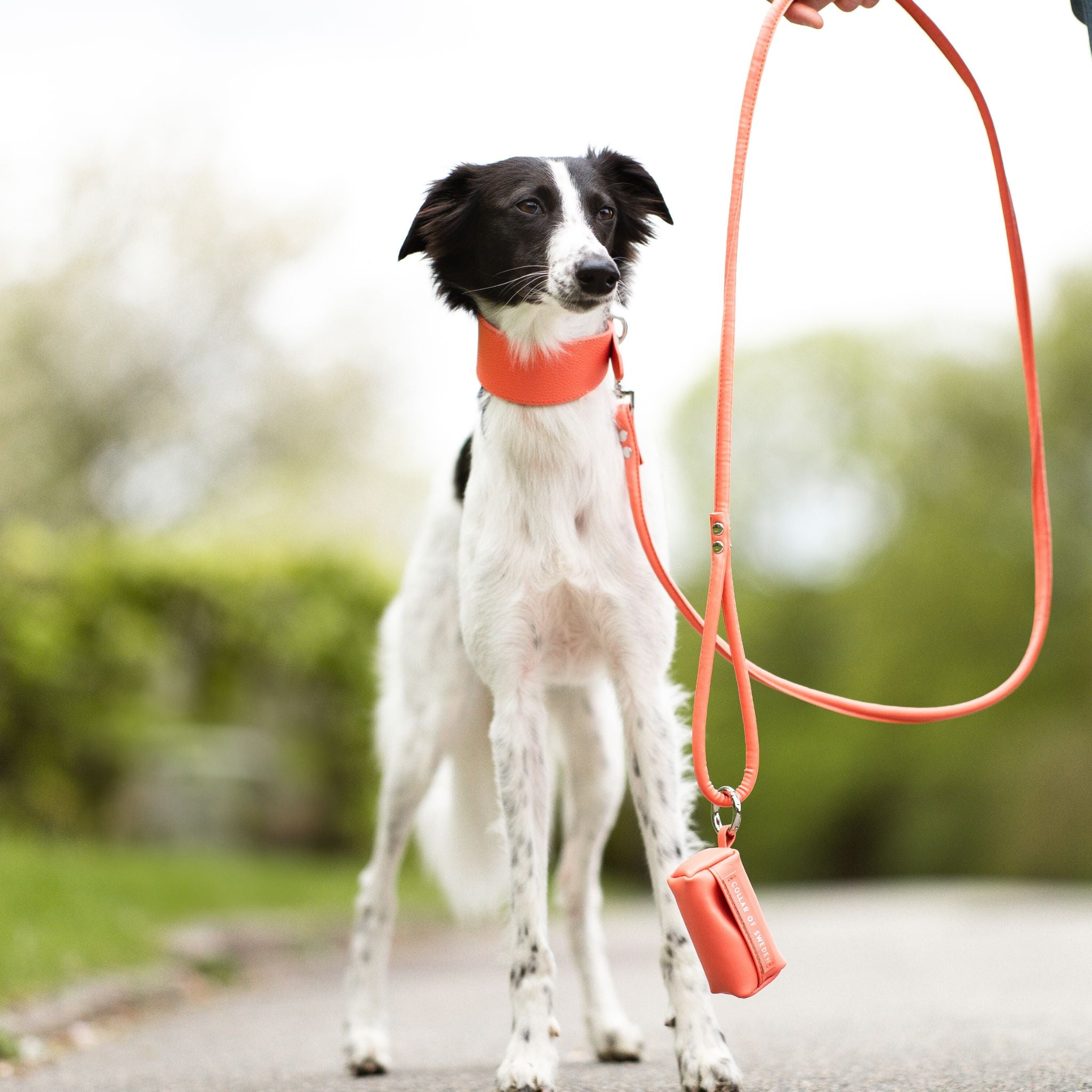 Peach Dog Lead