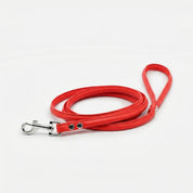 Pure Red Dog Lead