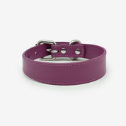 Purple Dog Collar Thin