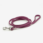 Purple Dog Lead