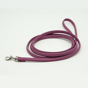Purple Dog Lead