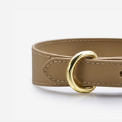 Reflective Bronze Dog Collar Thin