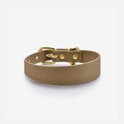 Reflective Bronze Dog Collar Thin