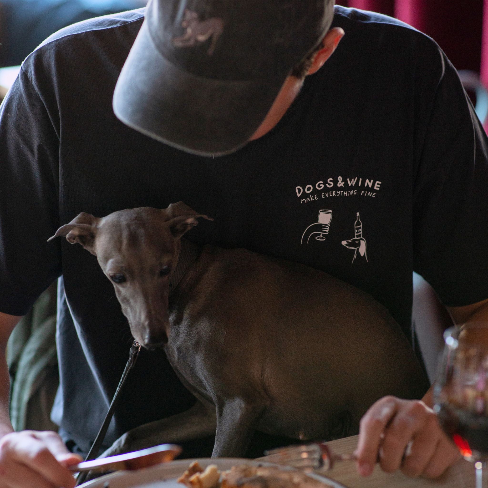 Vintage Black T-shirt - Dogs & Wine Make Everything Fine