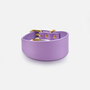 Violet Dog Collar Wide