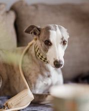 Beige Poop Bag Holder