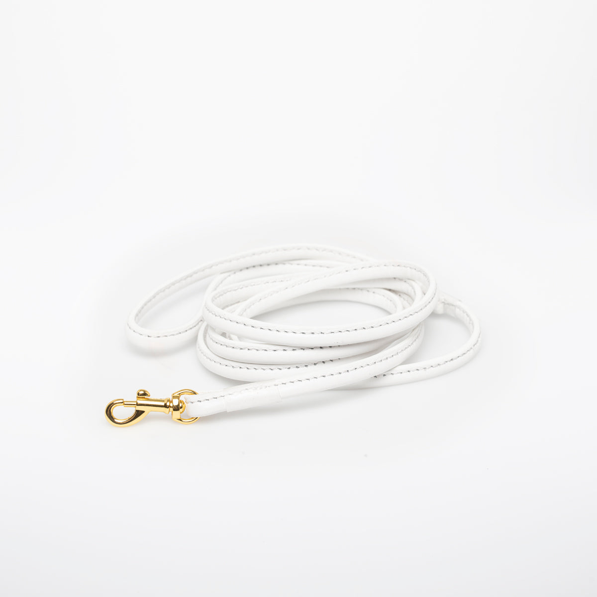 White Dog Lead
